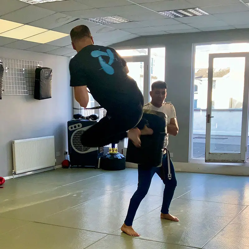 Adult Martial Arts Lesson